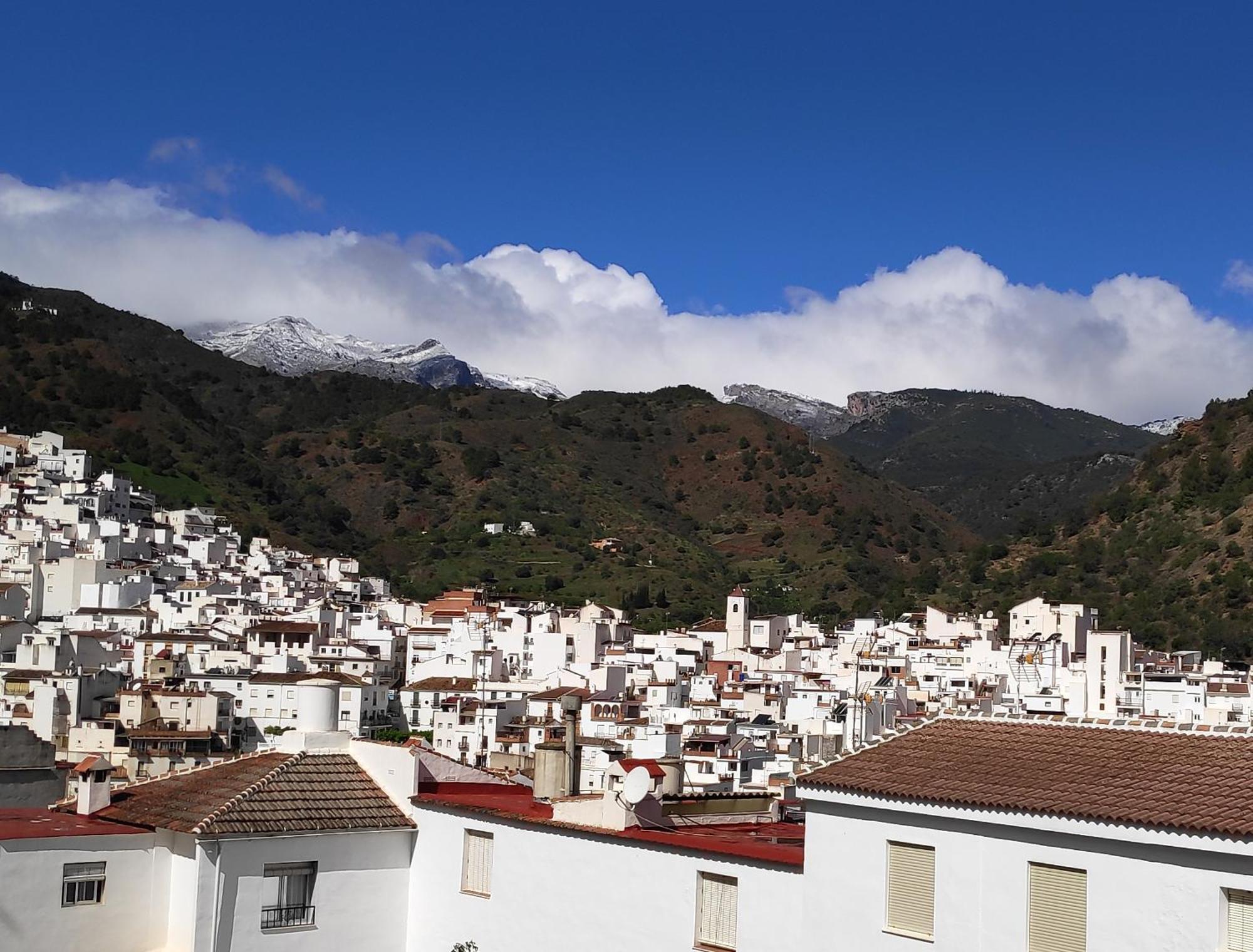 Apartamento El Almencino Tolox Exterior photo